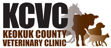 Home | Veterinarian in Richland, IA | Keokuk County Veterinary Clinic